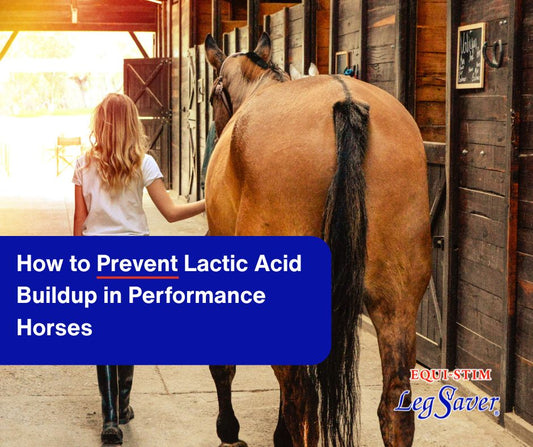 How to Prevent Lactic Acid Buildup in Performance Horses