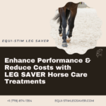 Enhance Horses' Performance with LEG SAVER