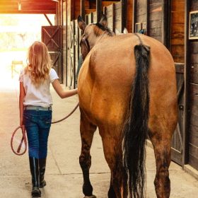 A woman walking with her horse on a lead through the stables.